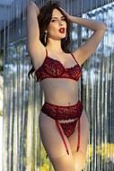 Romantic lingerie set, embroidery, sheer inlays, flowers